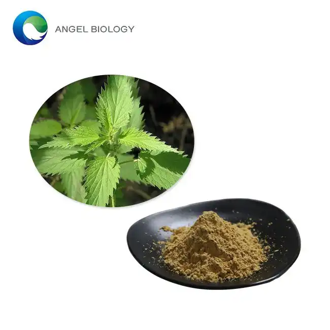 Nettle Extract Powder